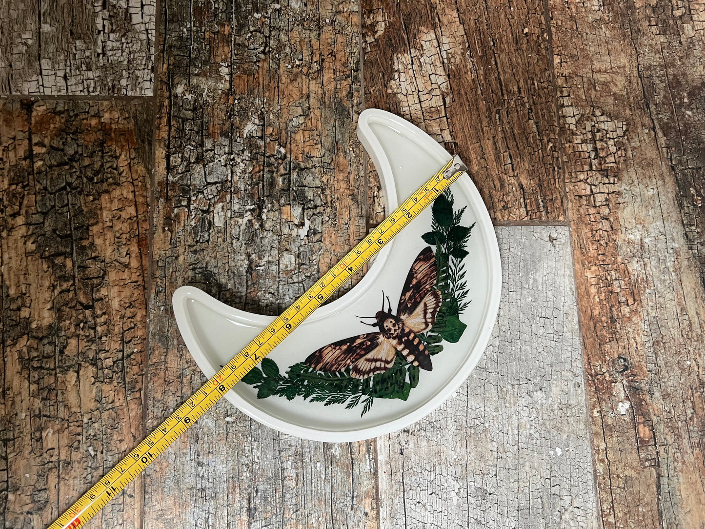 Crescent Moon Shaped Tray - White with Deathhead Hawk Moth