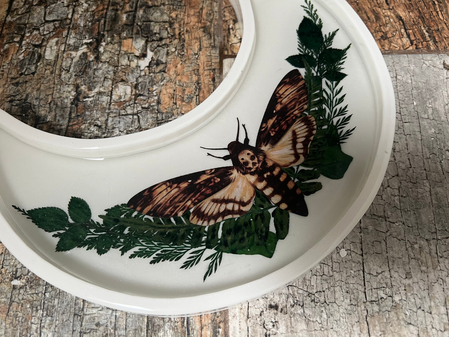 Crescent Moon Shaped Tray - White with Deathhead Hawk Moth