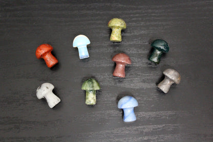 Mystery Mini Gemstone Mushroom